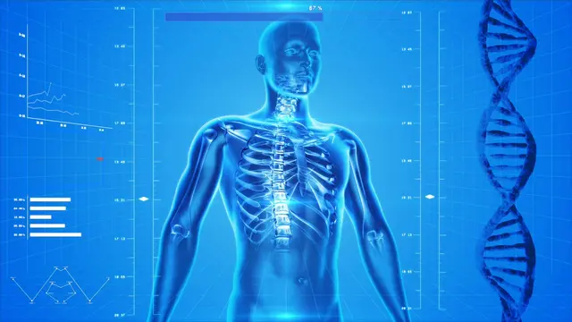 Curso Musculoesquelético LANS